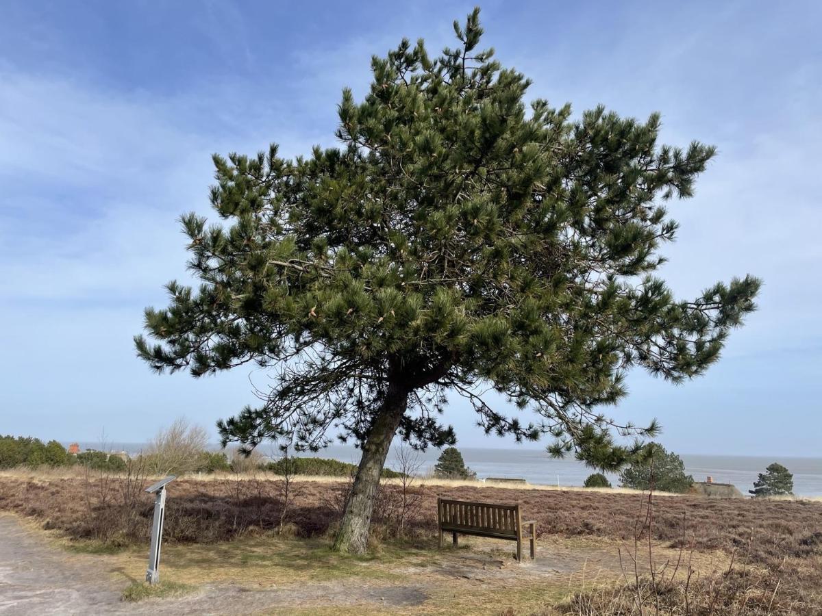 Sylter Residenz Leilighet Westerland Eksteriør bilde